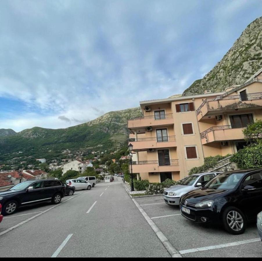 Apartments Sneza Risan Extérieur photo