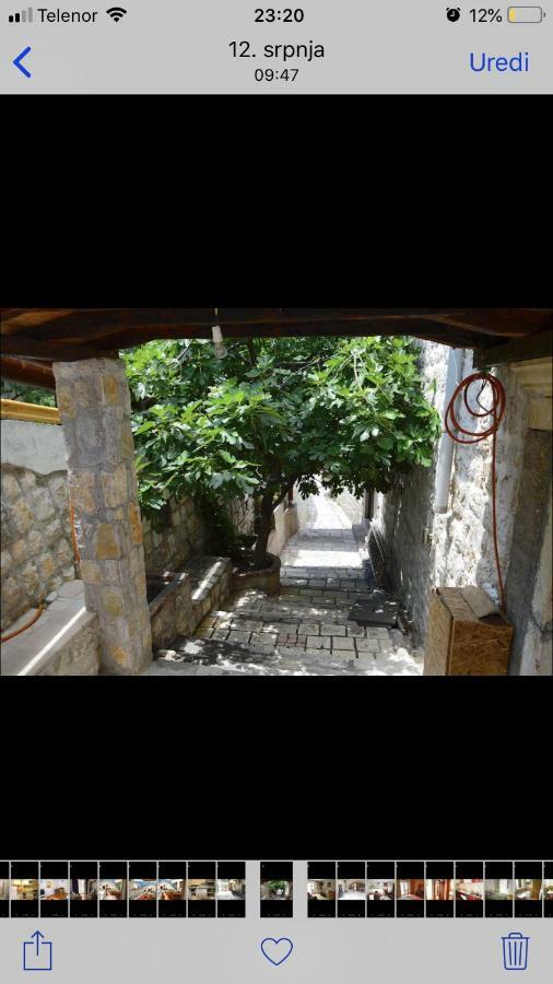 Apartments Sneza Risan Extérieur photo